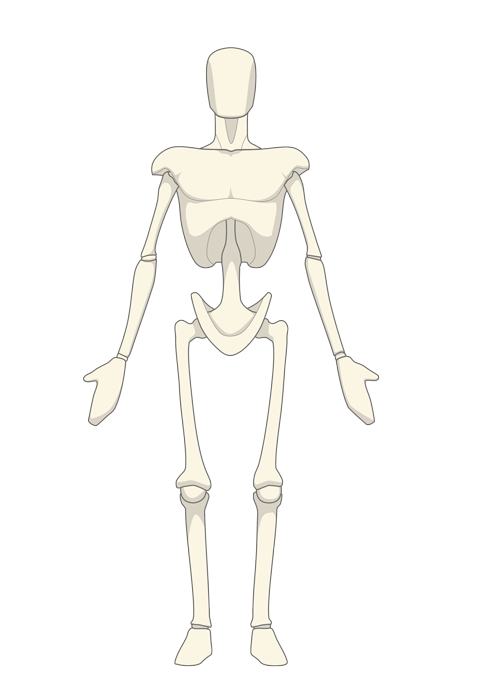 Position anatomique de référence