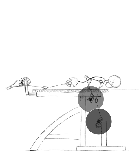 Barbell prone rowing.