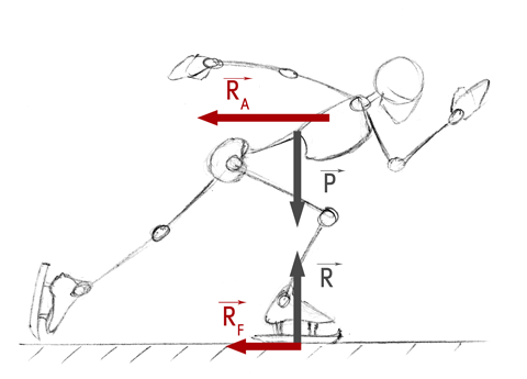 Graphical representation of the main forces involved in skating with: P, athlete's weight, R, ground reaction force, RA, aerodynamic drag resistance and RF, friction resistance between skate blade and ice