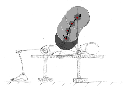 Representation of the concentric bench press. The bar starts at point A and ends at point B