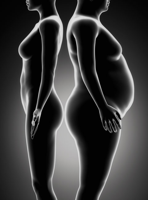 L'obésité a de multiples conséquences sur l'organisme et son fonctionnement
