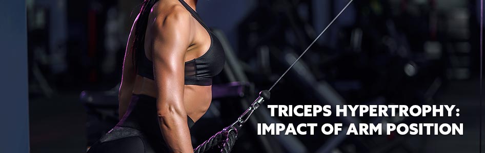muscle, hypertrophy, triceps, science, training, sport, fitness, resistance training, length, ROM