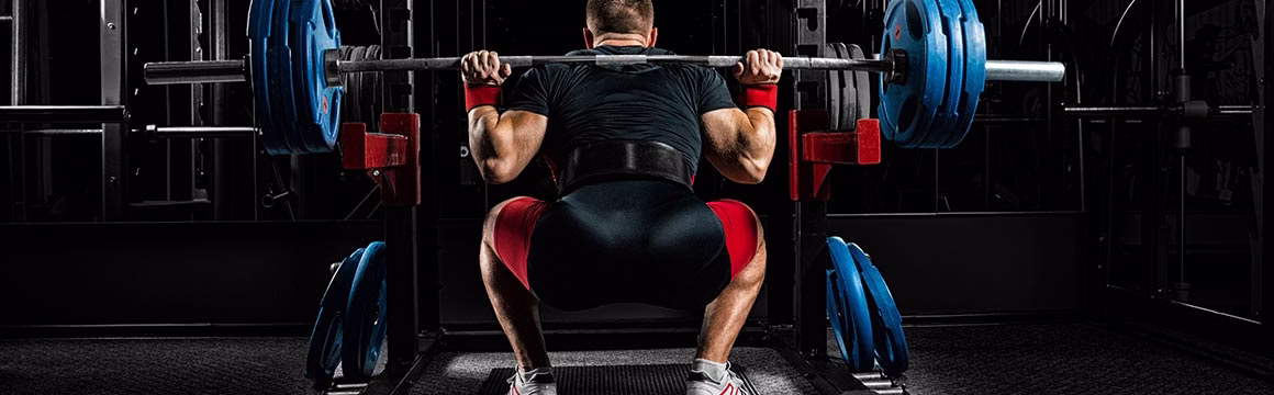 Influence of ankle mobility and segment ratios in the back squat