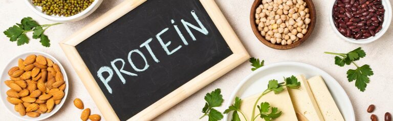 Muscle gains : are animal proteins superior to plant-based proteins?