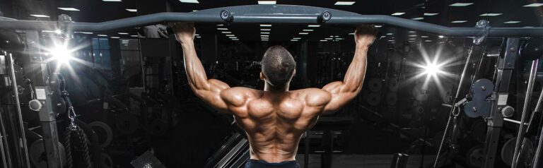 Differences in muscle activity between pull-ups and chin-ups