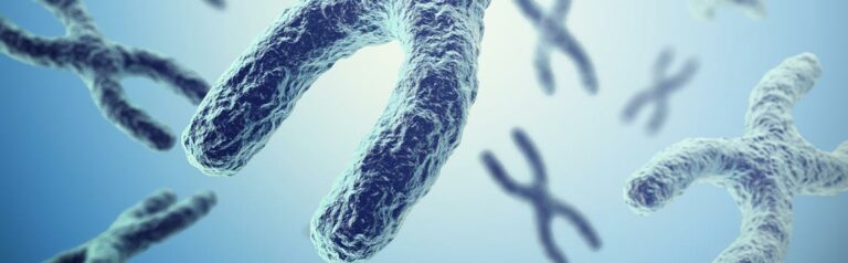Endurance and resistance training: effects on telomeres and telomerase